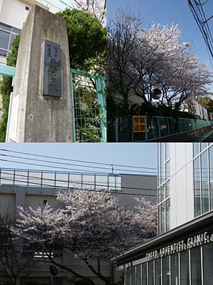 �ᐙ���w�Z�i���V�����w�Z�j��